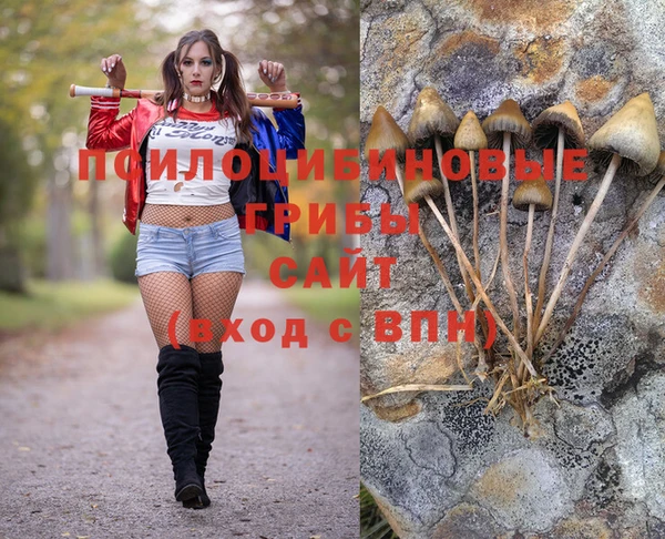 таблы Магас